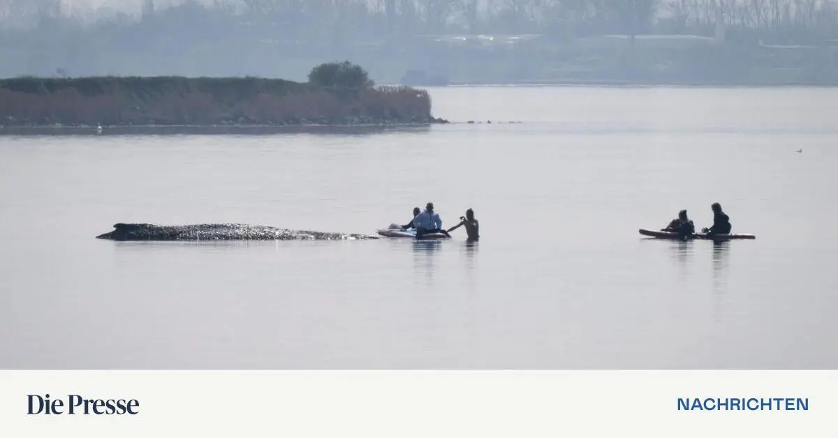 Áustria, Die Presse, Alemão