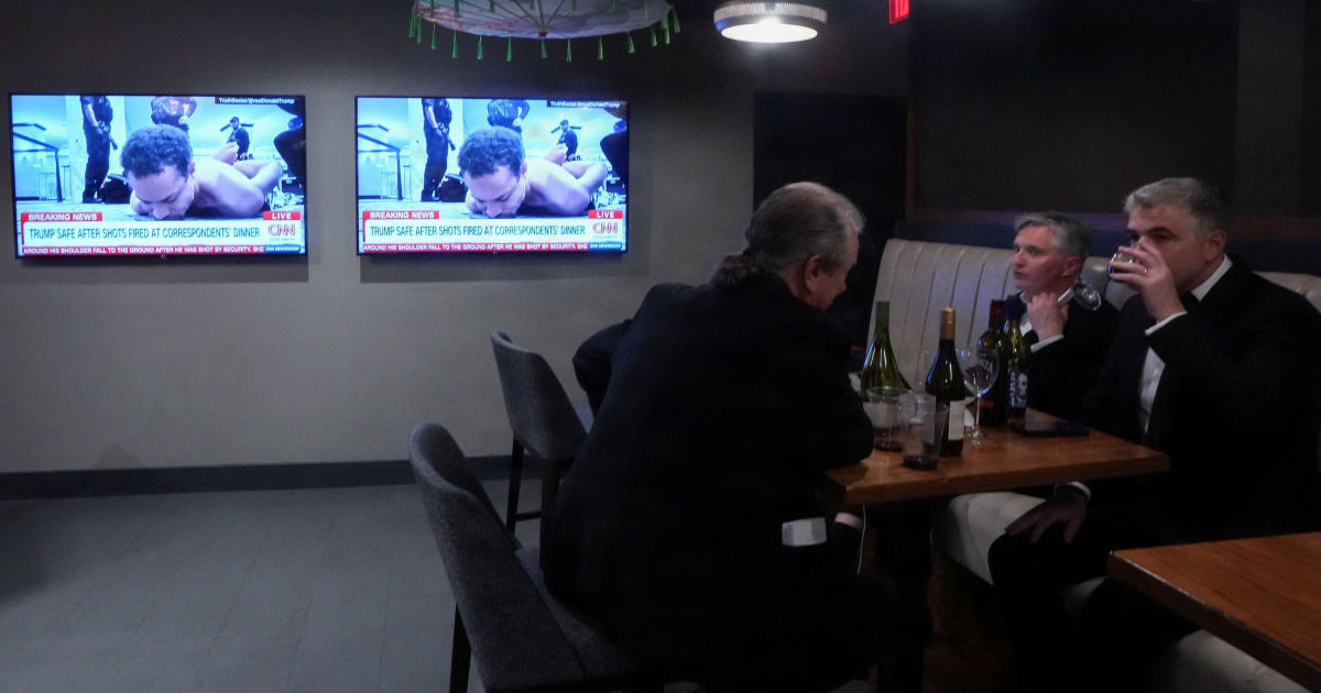 Dinamarca, Information.dk , Dinamarquês