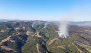 Albânia, 24 Ore, Albanês 00 janë regjistruar 14 vatra zjarri – 24 ore
