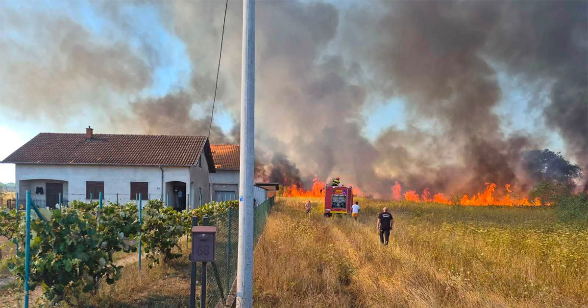 Bósnia Herzegovina, Avaz , Bósnio