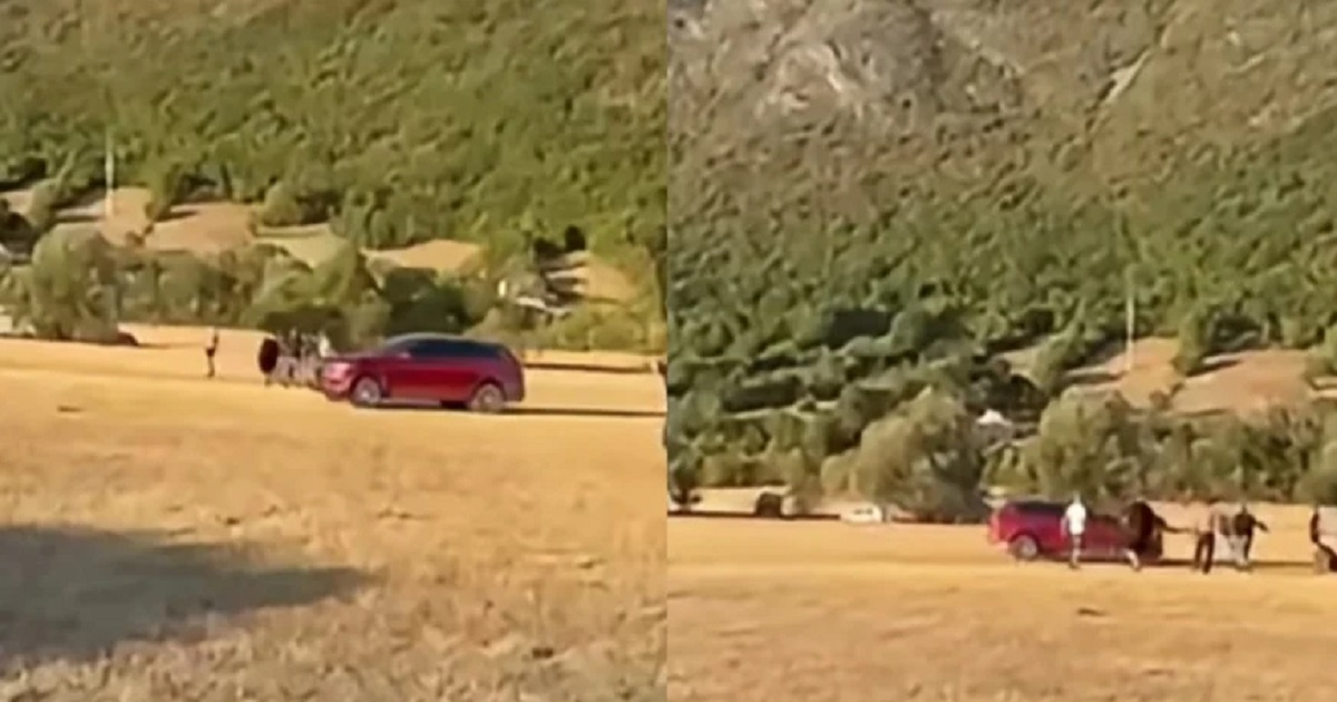 Bósnia Herzegovina, Avaz , Bósnio