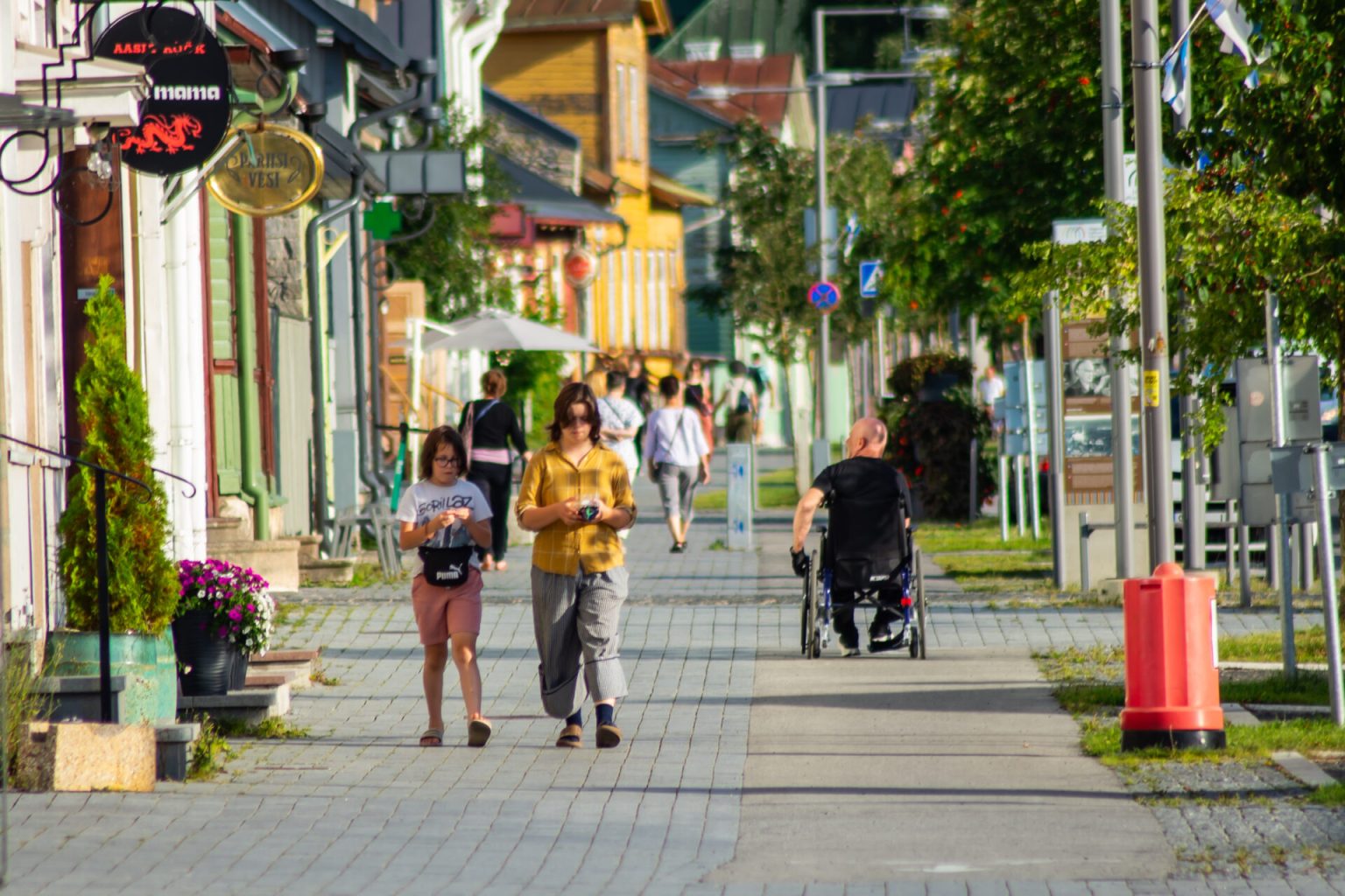 Estônia, Laane Elu, Estoniano