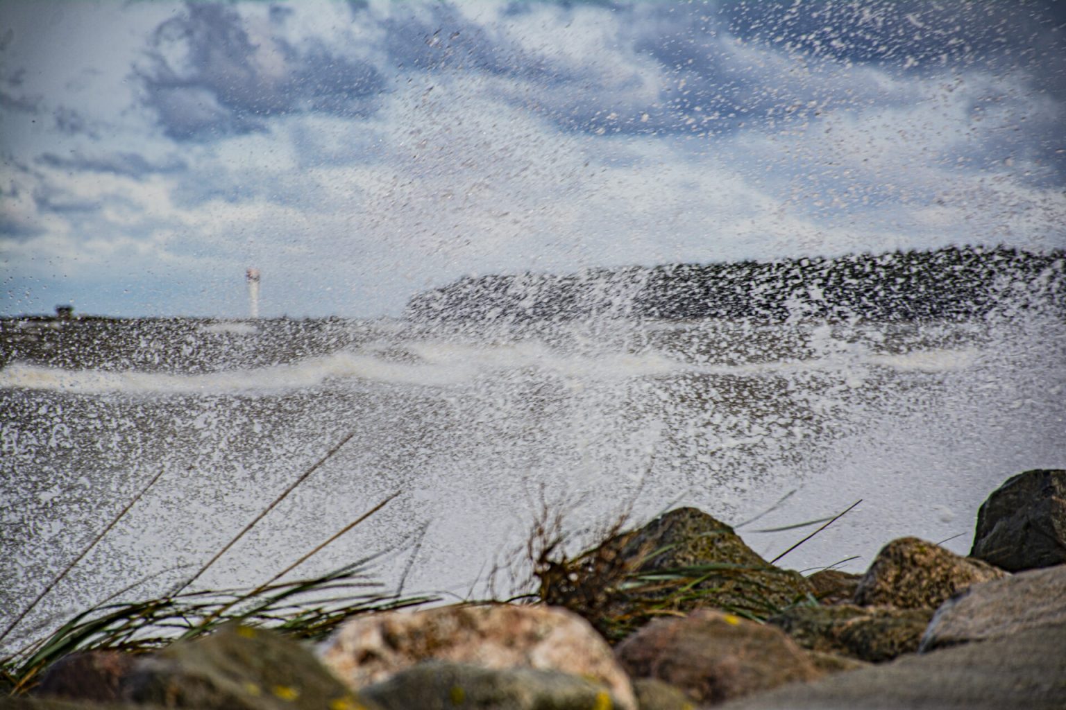 Estônia, Laane Elu, Estoniano