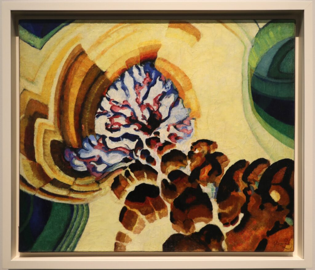 Albânia, 24 Ore, Albanês Kupka dhe Giacometti mbi vlerësimet – 24 ore