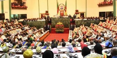 0107-12897-le-parlement-camerounais-autorise-la-ratification-de-l-accord-sur-la-zone-de-libre-echange-continentale-africaine_L.jpg