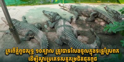 21e44dd814b8a1acb03749ad3c1b06bc-39.jpg