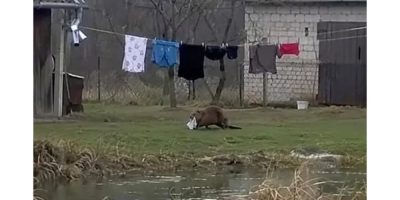 6365466430144904682.jpeg