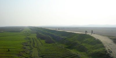 800px-DPRK_rice.jpg