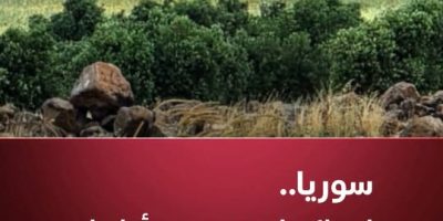 831645891_1341041729091390_600728088196431709_n.jpg