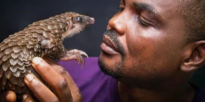 A-wildlife-conservation-expert-Dr-Mark-Ofua_1784162659.webp.webp