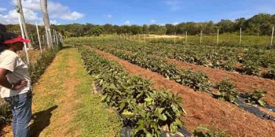 Beacon-farms-2-min.jpg
