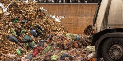 Biojaatmete-umbertootlemine-Tallinna-prugilas.-Foto-Lemmi-Kann-18.jpg
