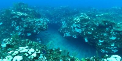 Bleaching-at-Spotts-Reef-taken-in-October-2023-DoE.jpg