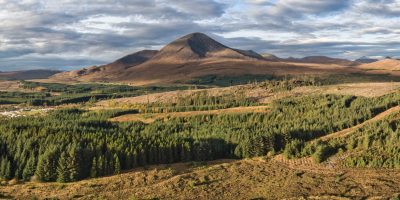 Broadford-woodland-Richard-Chalmers-scaled.jpg