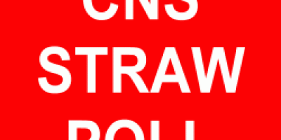 CNS-straw-poll.gif