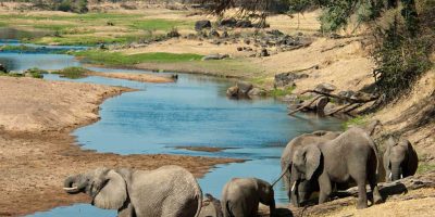 Chobe-Game-Reserve.jpg