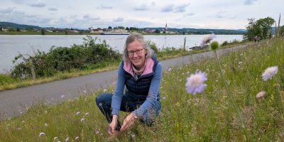 ChristineSheppard_WieseDonau.jpg