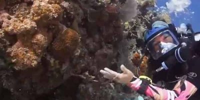 Coral-reef-off-Little-Cayman-CCMI.jpg