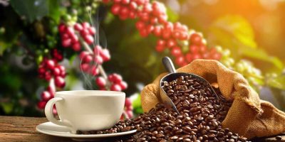 Cup-of-coffee-with-coffee-beans-in-burlap-sack-on-coffee-tree-background-by-Amenic181-via-Shuttersto.jpeg