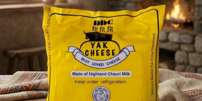 DDC.png