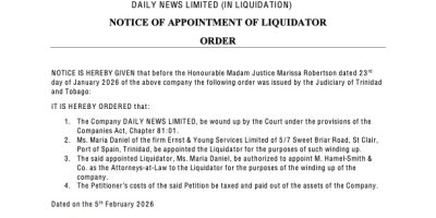Daily-News-Limited-Newsday-Notice-of-Appointment-of-Liquidator-Order-2026.jpg