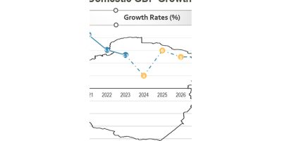 Domestic-GDP-growth.jpg