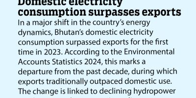 Domestic-electricity-.jpg