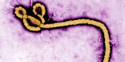 Ebola_virus_purple-1200x630.jpg