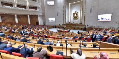 Egyptian-House-of-Representatives.jpg