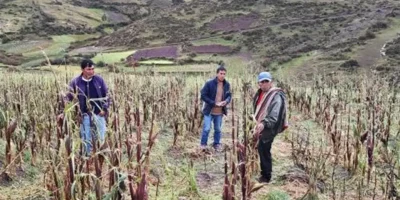 ElDiario-w2606265.webp.webp