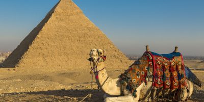 Giza_Pyramids_with_camel.jpg