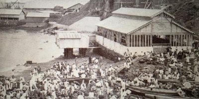 King-Jimmy-market-e1787224665740.jpg