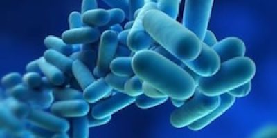 Legionnaires-disease.jpeg