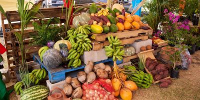 Local-Produce-On-Display-In-Nevis-scaled.jpg