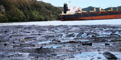 More-than-300-tonnes-of-heavy-fuel-oil-leaked-into-the-waters-of-Kangava-Bay.jpg