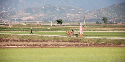 North_Korea-Anbyon_County-Chonsam_Cooperative_Farm-01-scaled.jpg