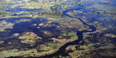 Okavango-delta.jpg