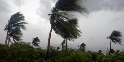 Palm-trees-blowing-in-Hurricane-Matthew-winds-in-2016-Photo-Dieu-Nalio-Chery-Associated-Press-scaled.jpeg