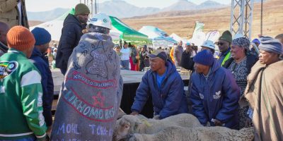 Prime-Minister-Sam-Matekane-being-presented-with-two-sheep.jpg
