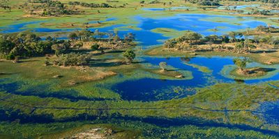 The-Okavango-delta.jpg