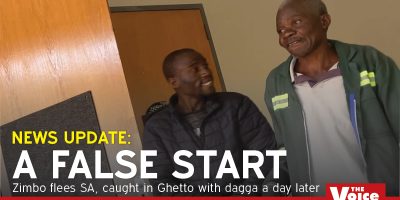 Zimbos.jpg