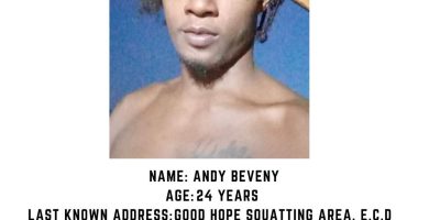 andy-beveny.jpg