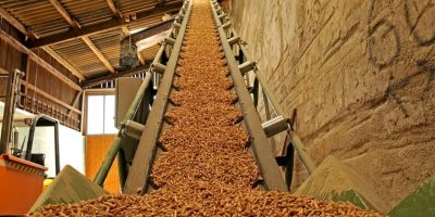 biomass-pellets-source-deutsches-pelletinstitut.jpg