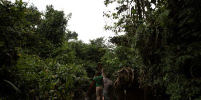 c-2019-10-16t000000z-1530099774-rc1fbc37d500-rtrmadp-3-congo-bushmeat_jpg.jpg
