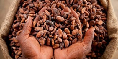 cocoa.jpg