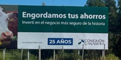 conexion-ganadera.jpg