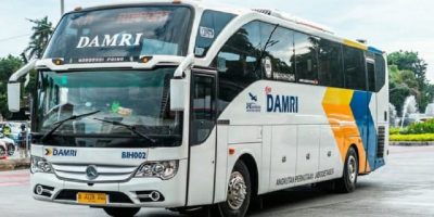 damri.jpg