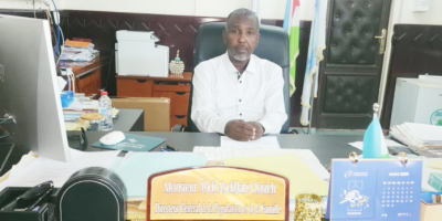 directeur-de-la-population-696x392.png