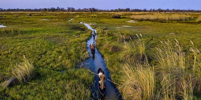dirty-money-enjoy-laundered-Okavango-Safari.jpg