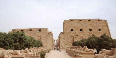 dsc_0102.jpg